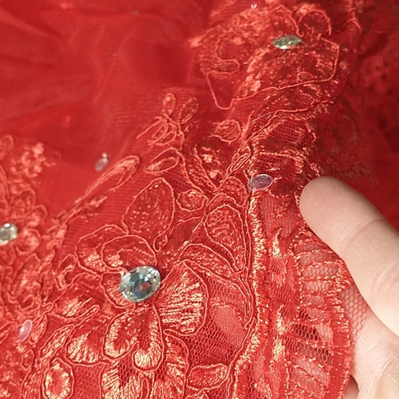 Beautiful Fancy Dress - Picture 8 of 9